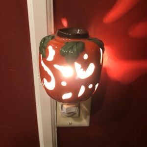 Pumpkin 🎃 fragrance warmer night light.